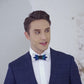 Lanzonia Men's Feather Bow Tie Handmade Bowtie for Wedding Holiday Party