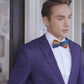 Lanzonia Men's Feather Bowtie Handmade Bow Tie for Wedding Holiday Party