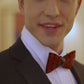 Lanzonia Mens Wedding Wine Red Bowtie Feather Hnadmade Bow Tie